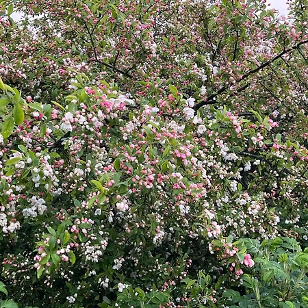 Ubytování v soukromí Velkommen Til Sohojlandet A! *